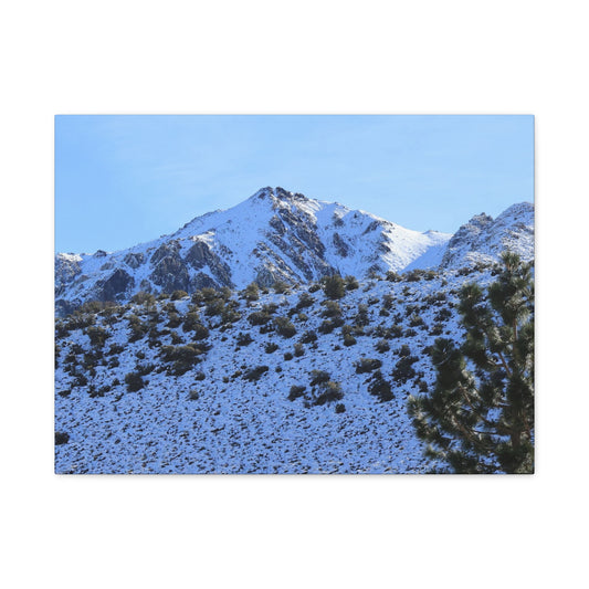 Snowy Peaks and Stoic Pines - Unique Frameless Canvas Wall Art