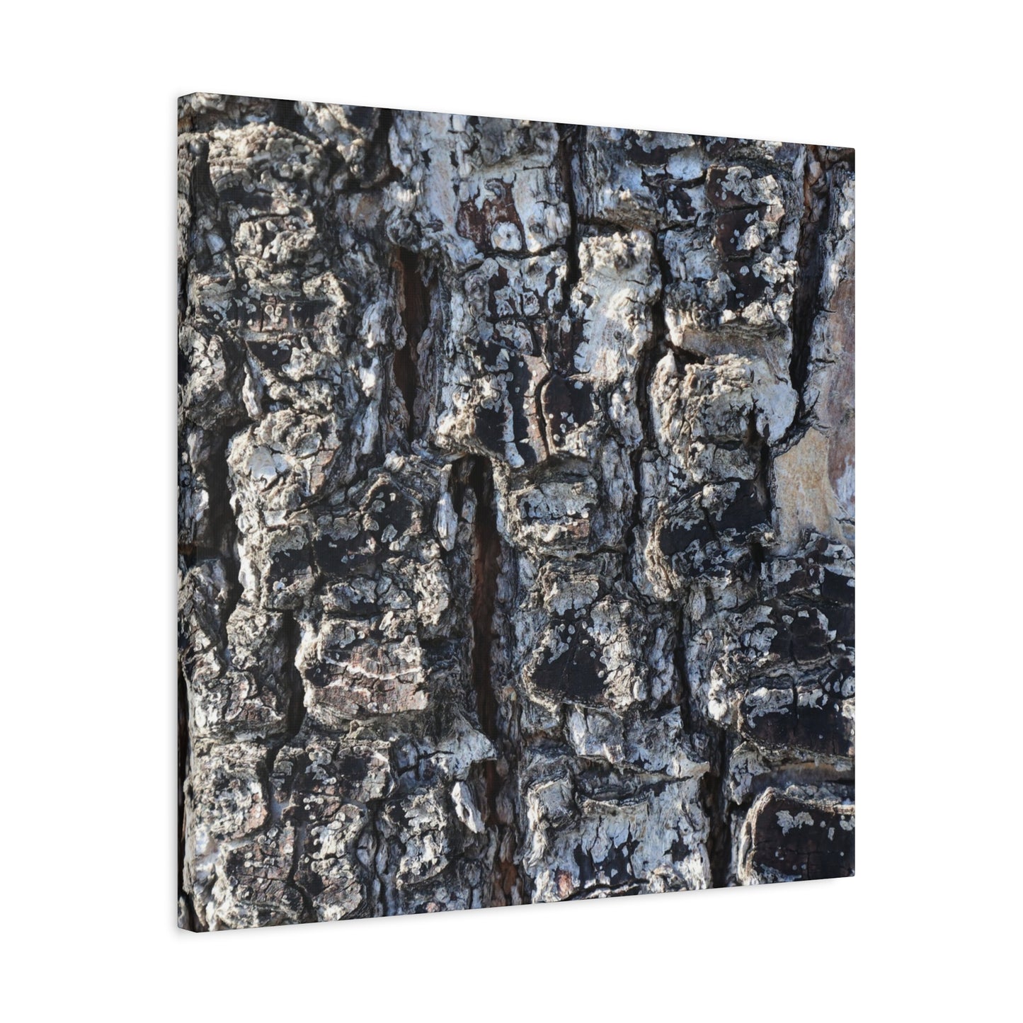 Textured Whispers of the Ancient Tree - Unique Frameless Canvas Wall Art - Art By Earth