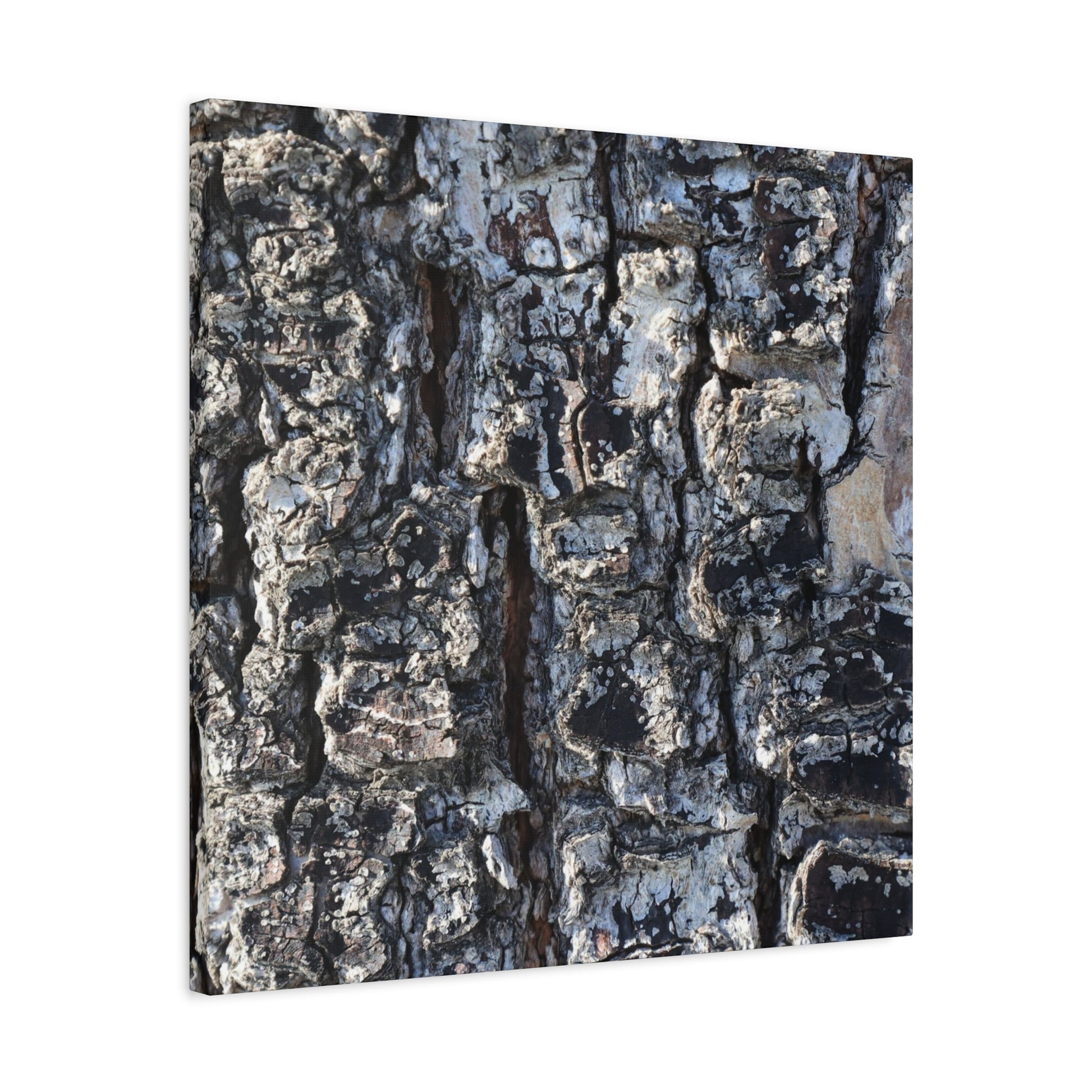 Textured Whispers of the Ancient Tree - Unique Frameless Canvas Wall Art - Art By Earth