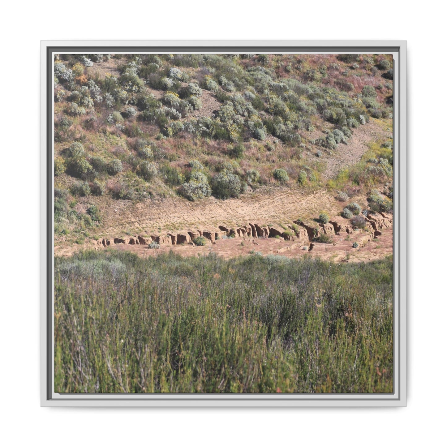 Ancient Dwellings in the Valley - Unique Stretched Canvas Wall Art - Art By Earth