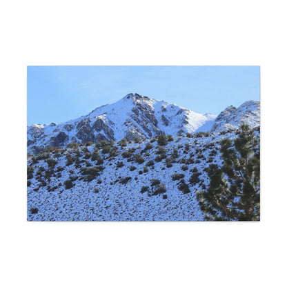 Snowy Peaks and Stoic Pines - Unique Frameless Canvas Wall Art