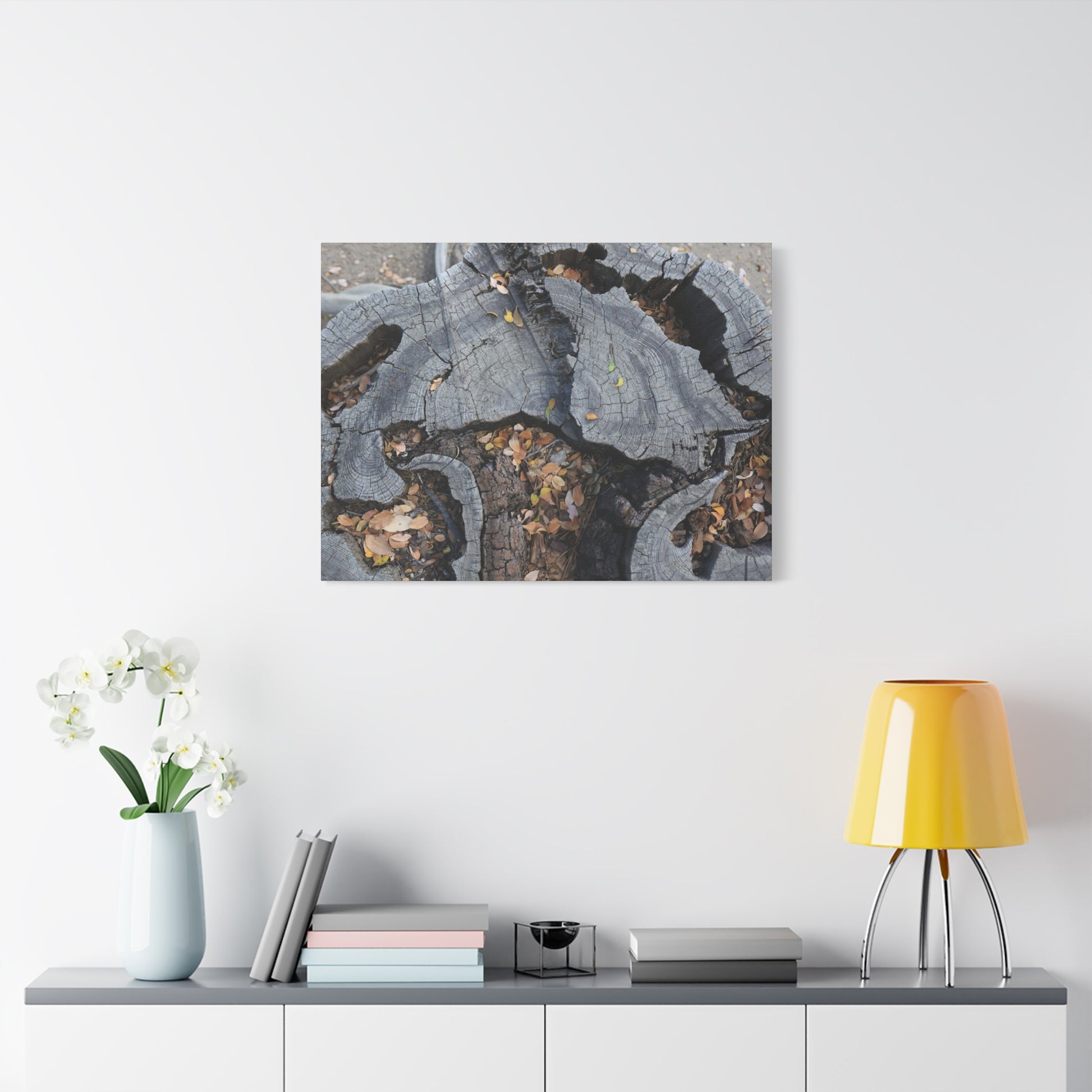 Weathered Woodland Whispers - Unique Frameless Canvas Wall Art - Art By Earth