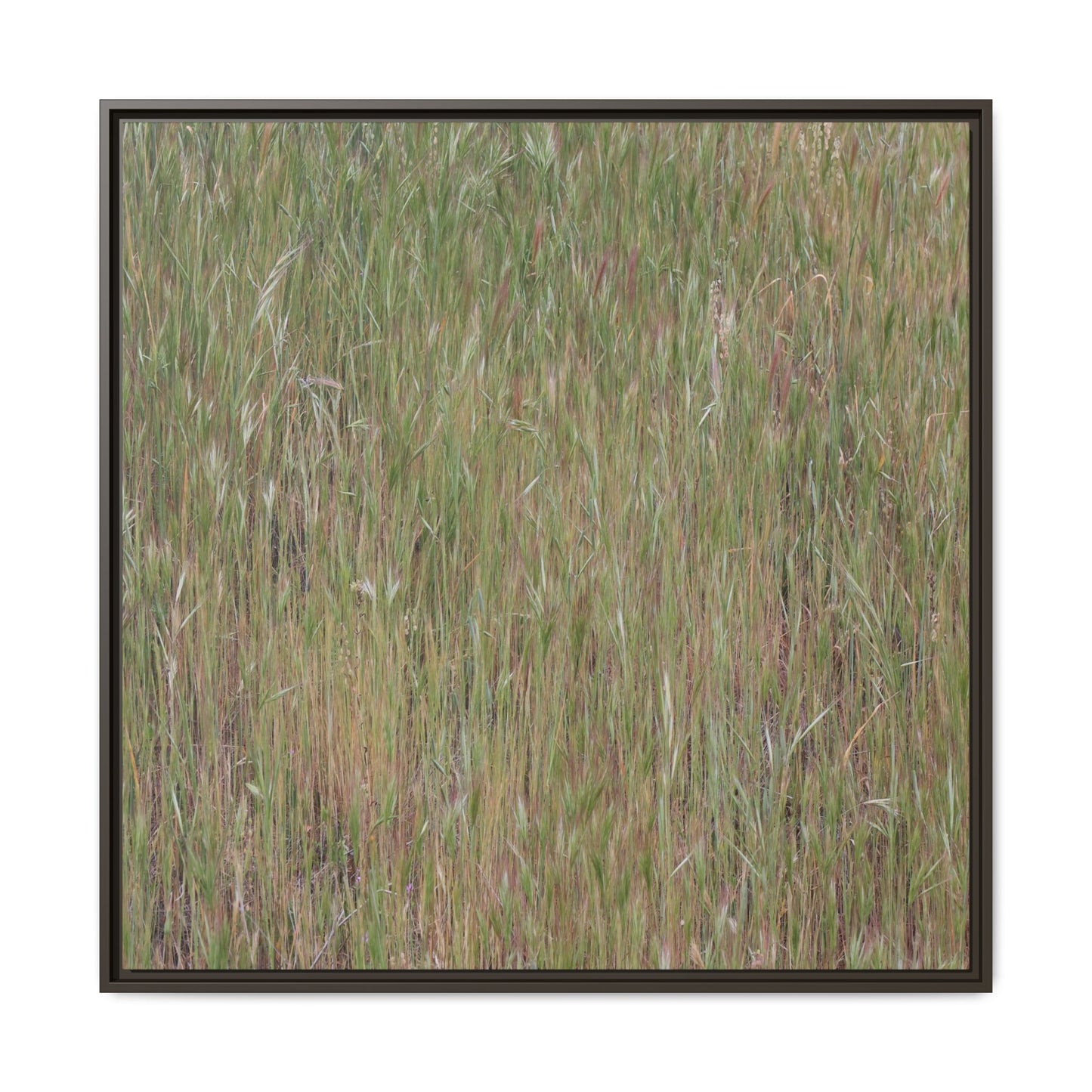 Field of Dreams - Unique Stretched Canvas Wall Art - Art By Earth