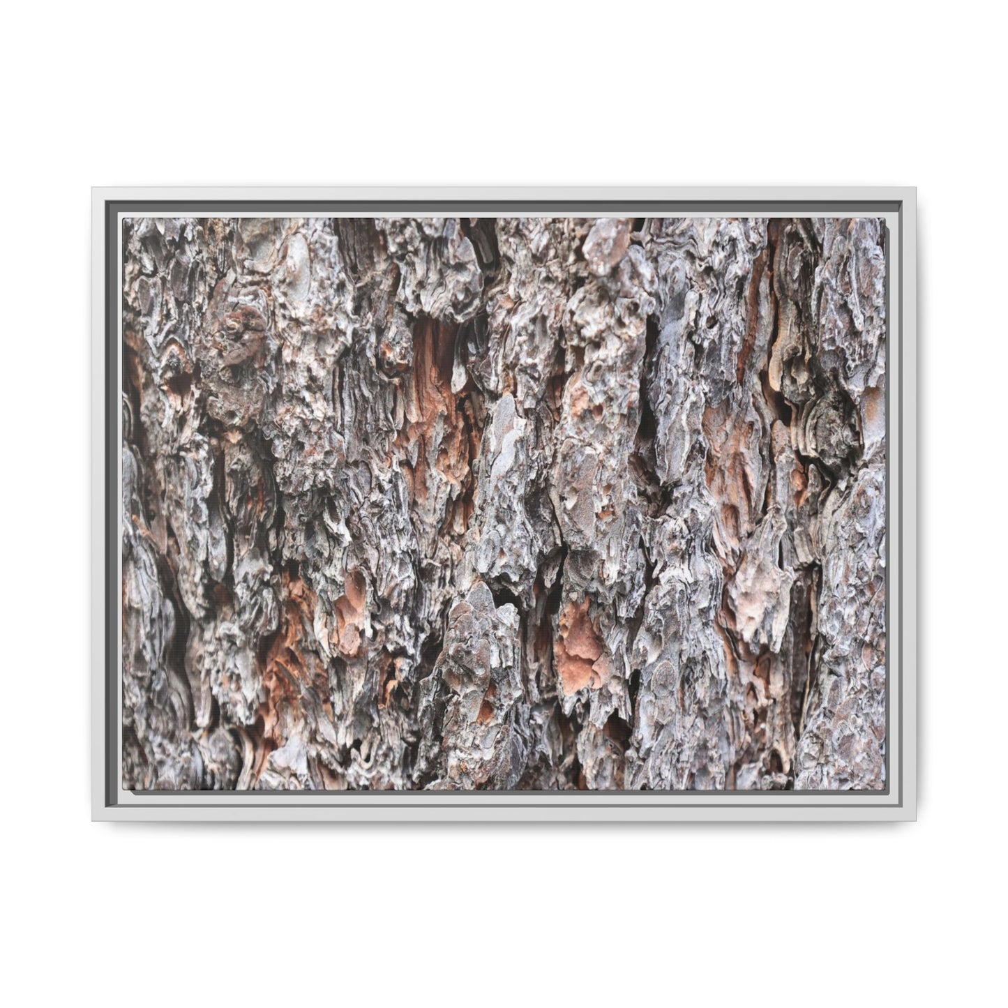 Rugged Cortex - Unique Stretched Canvas Wall Art - Art By Earth