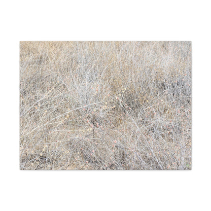 Tangled Whispers of Autumn's Fading Breath - Unique Frameless Canvas Wall Art - Art By Earth