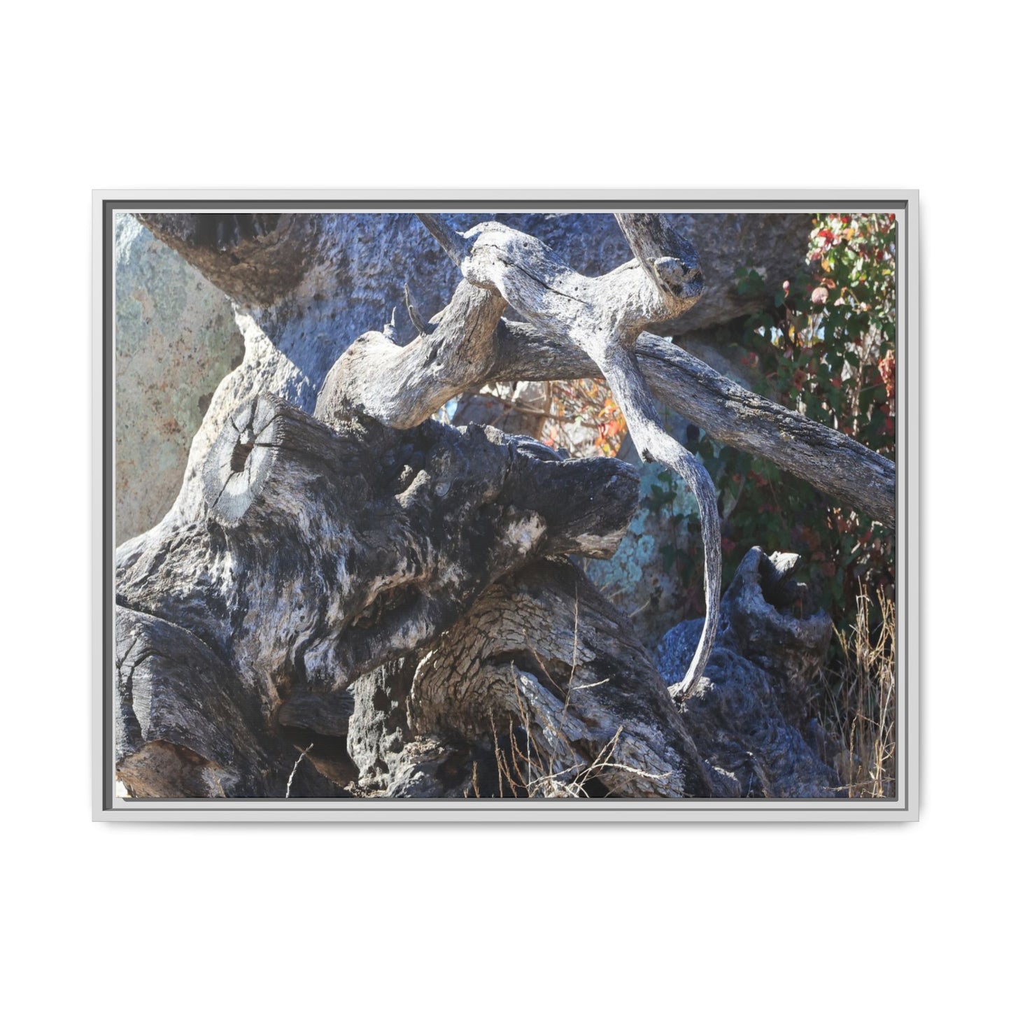 Resilient Roots - Unique Stretched Canvas Wall Art - Art By Earth