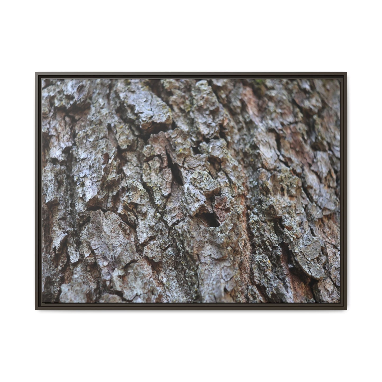 Woodland Canvas - Unique Stretched Canvas Wall Art - Art By Earth