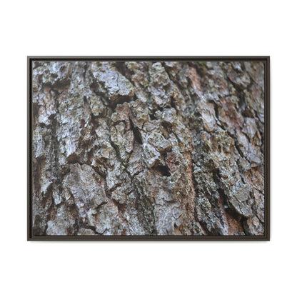 Woodland Canvas - Unique Stretched Canvas Wall Art - Art By Earth