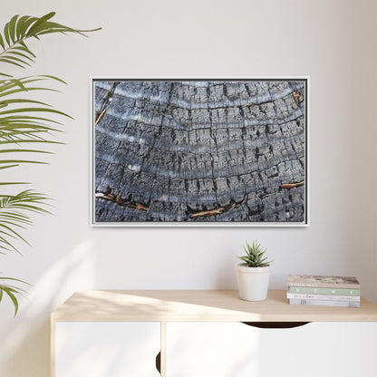 Charred Memories - Unique Stretched Canvas Wall Art - Art By Earth