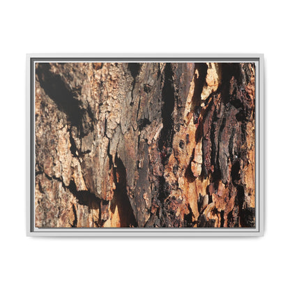 Rugged Beauty - Unique Stretched Canvas Wall Art - Art By Earth