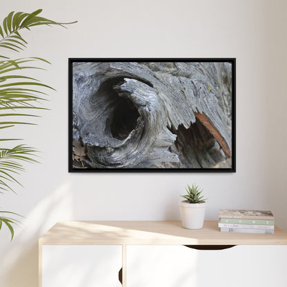 Bark's Labyrinth - Unique Stretched Canvas Wall Art - Art By Earth