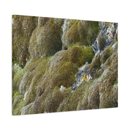 Verdant Stone Symphony - Unique Frameless Canvas Wall Art