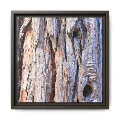 Nature's Grain - Unique Stretched Canvas Wall Art - Art By Earth
