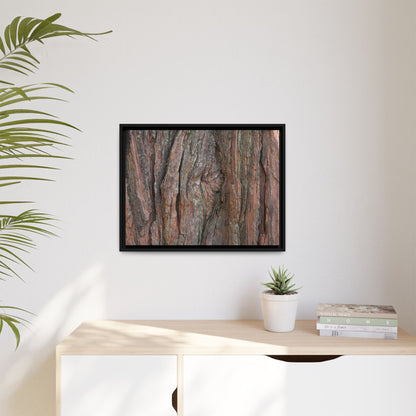 Rugged Textures - Unique Stretched Canvas Wall Art - Art By Earth