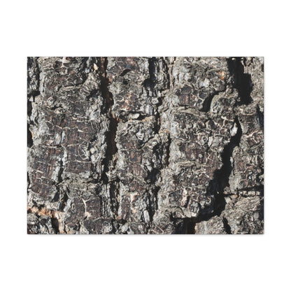 Cracked Skin of Earth - Unique Frameless Canvas Wall Art - Art By Earth