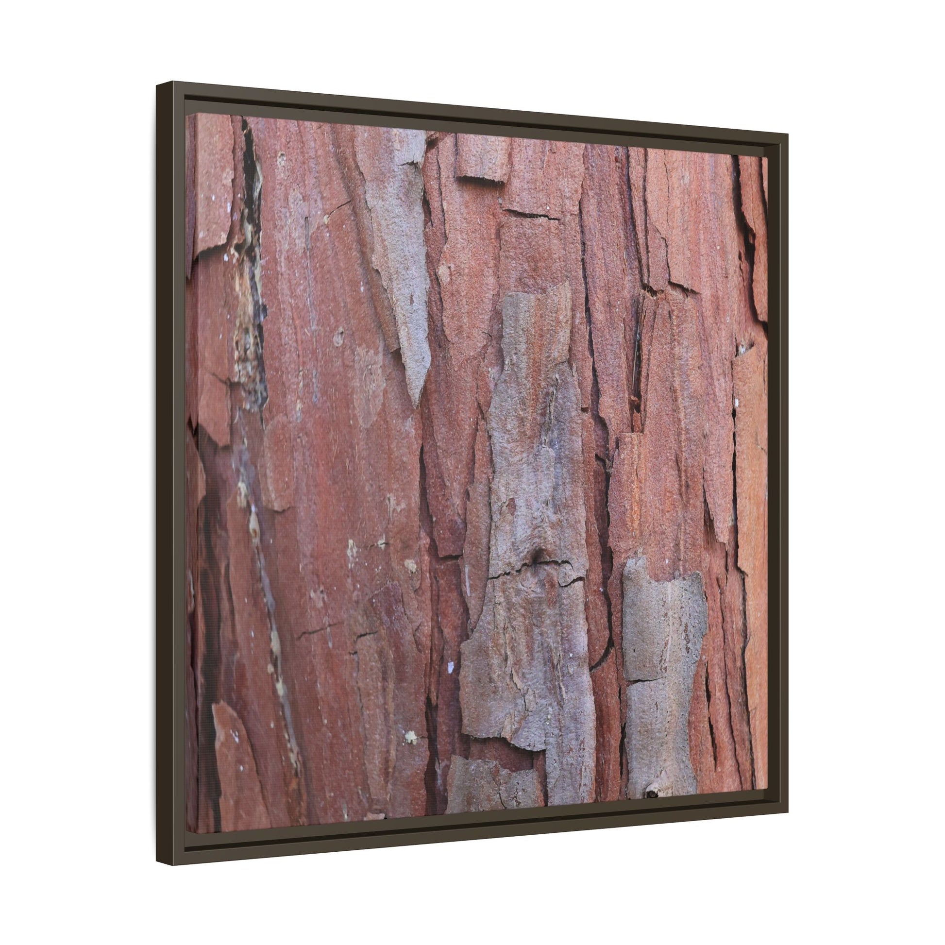 Peeling Bark - Unique Stretched Canvas Wall Art - Art By Earth
