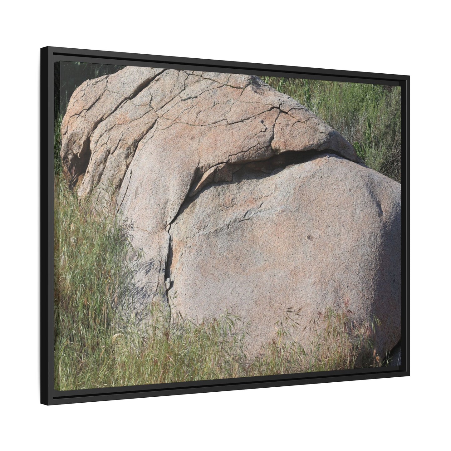 Stone Head Emerging from Earth - Unique Stretched Canvas Wall Art - Art By Earth