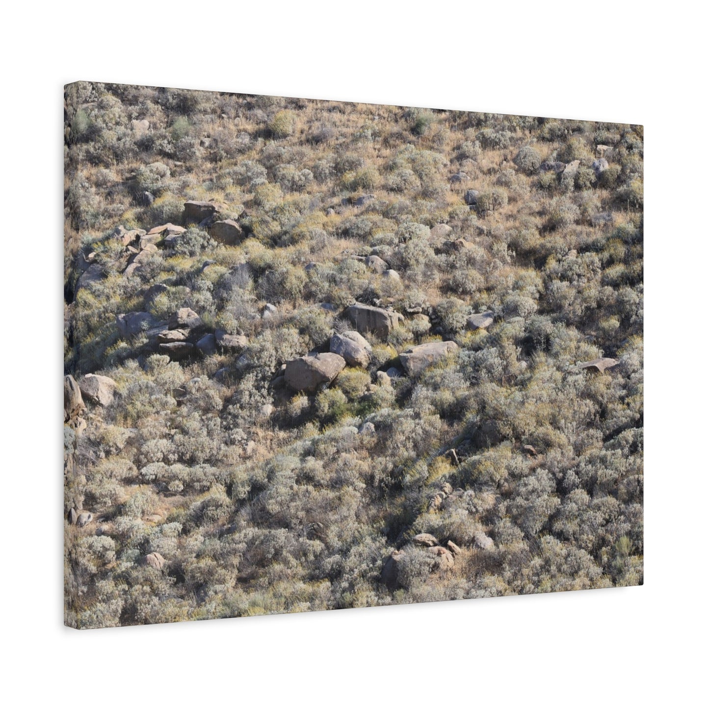 Desert Landscape with Scattered Rocks and Sage - Unique Frameless Canvas Wall Art - Art By Earth