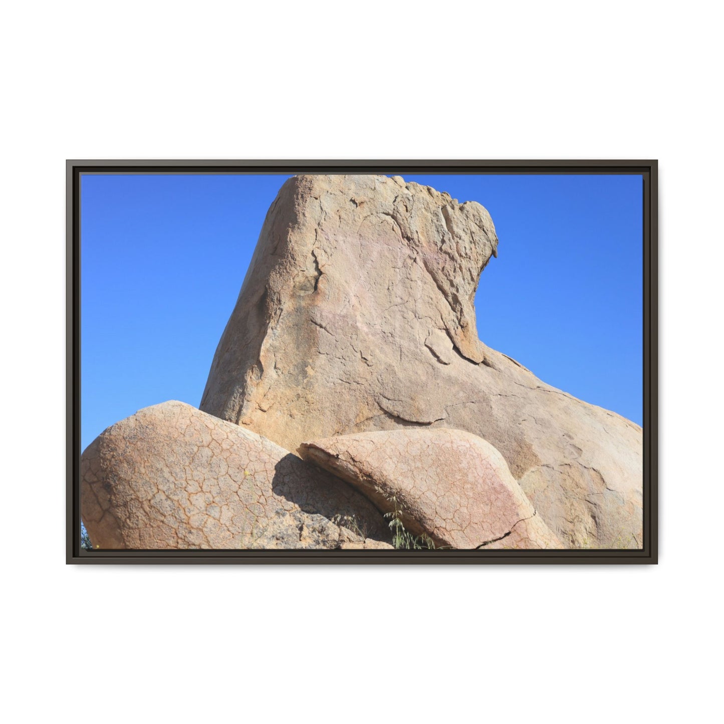 Rocky Sentinel - Unique Stretched Canvas Wall Art - Art By Earth