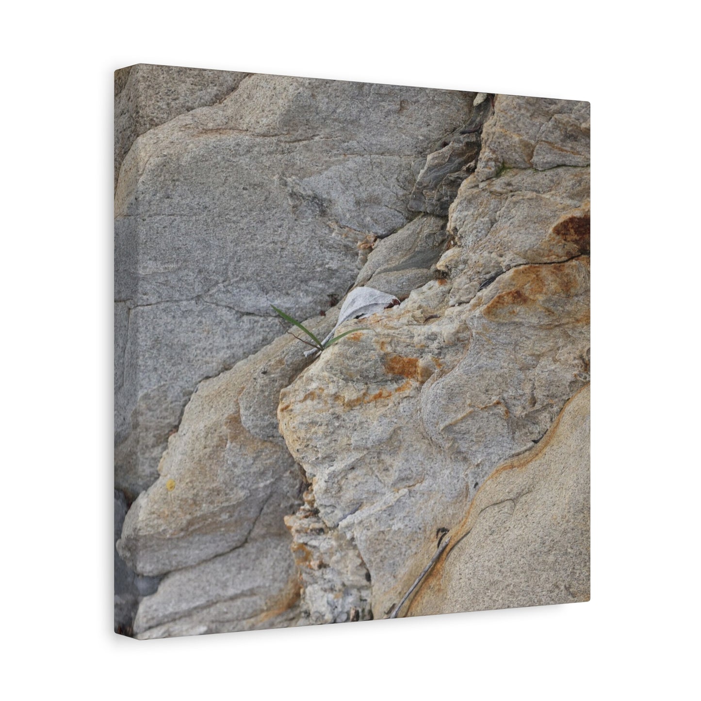 Fractal Earth - Unique Frameless Canvas Wall Art - Art By Earth