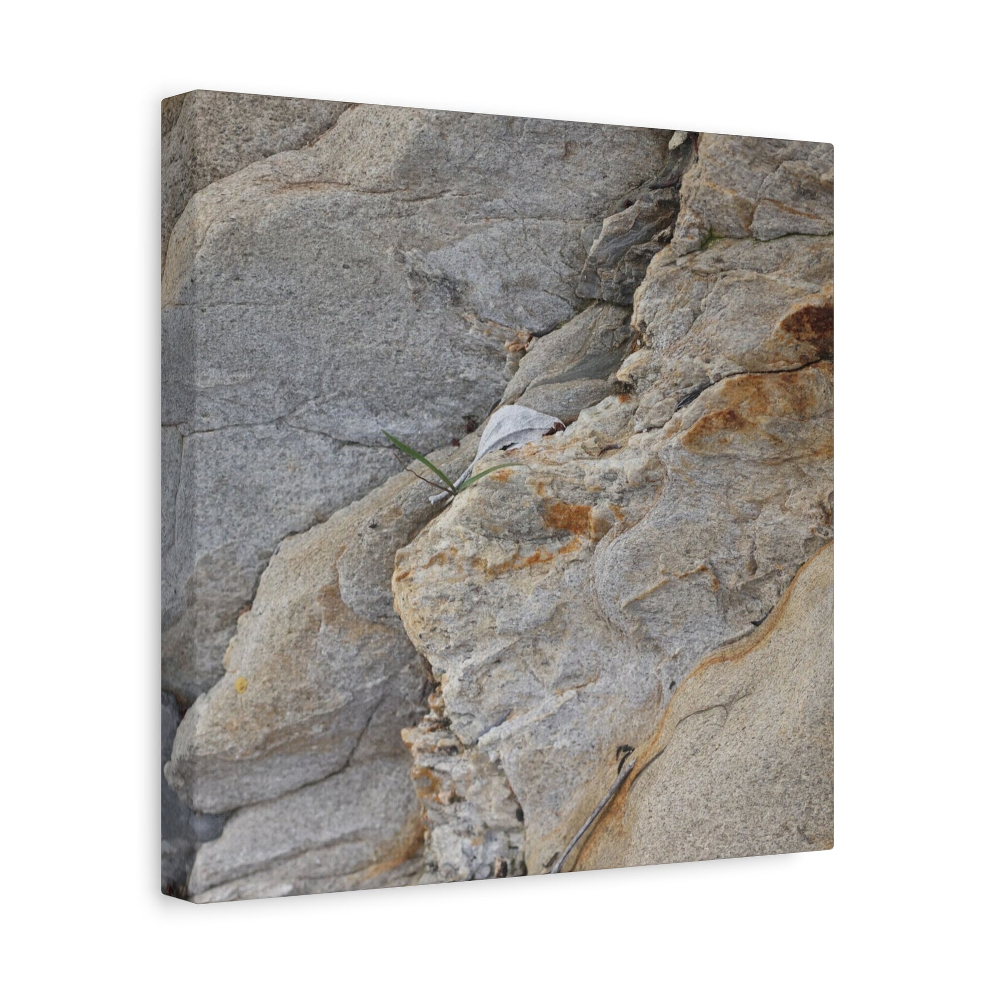 Fractal Earth - Unique Frameless Canvas Wall Art - Art By Earth