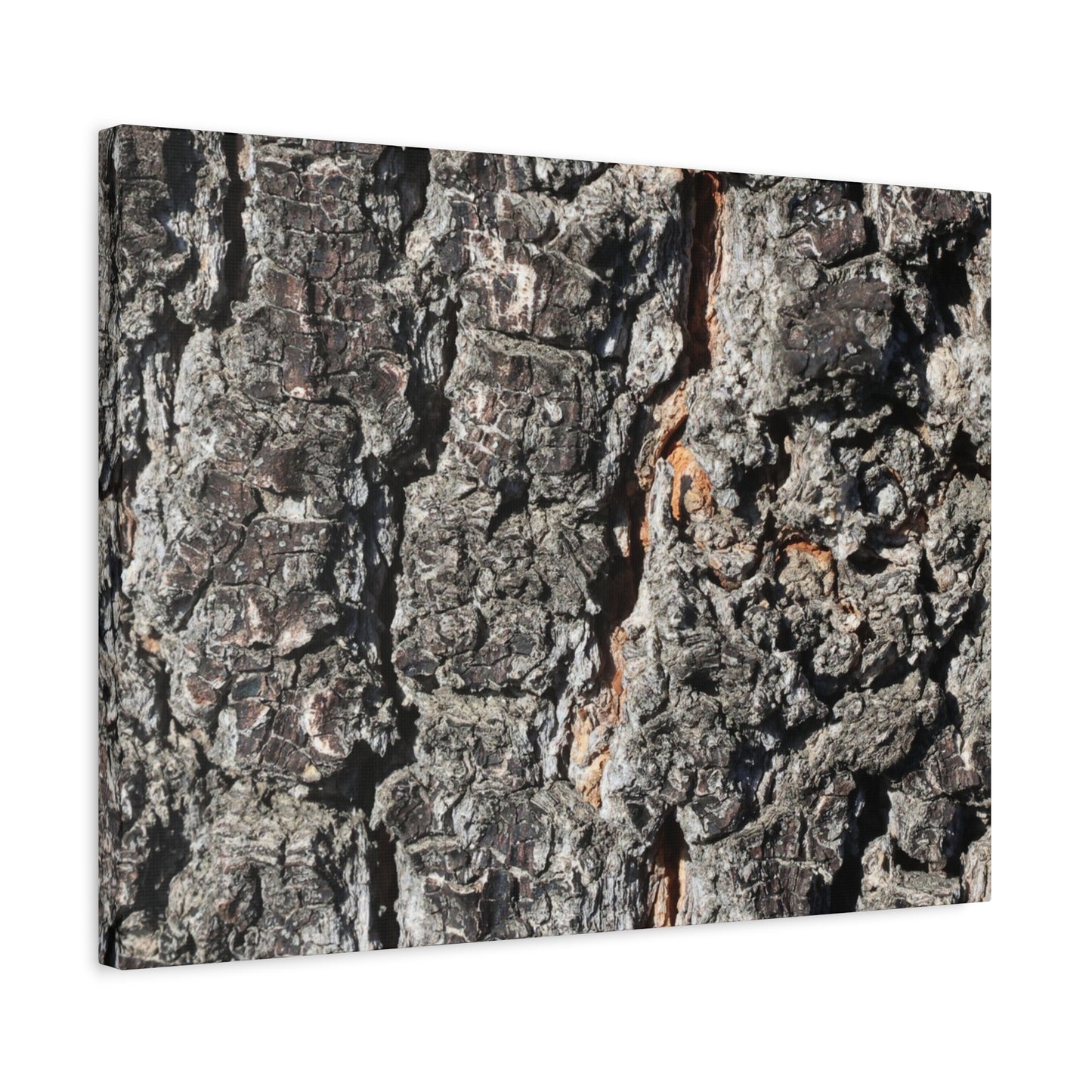 Arboreal Skin - Unique Frameless Canvas Wall Art - Art By Earth