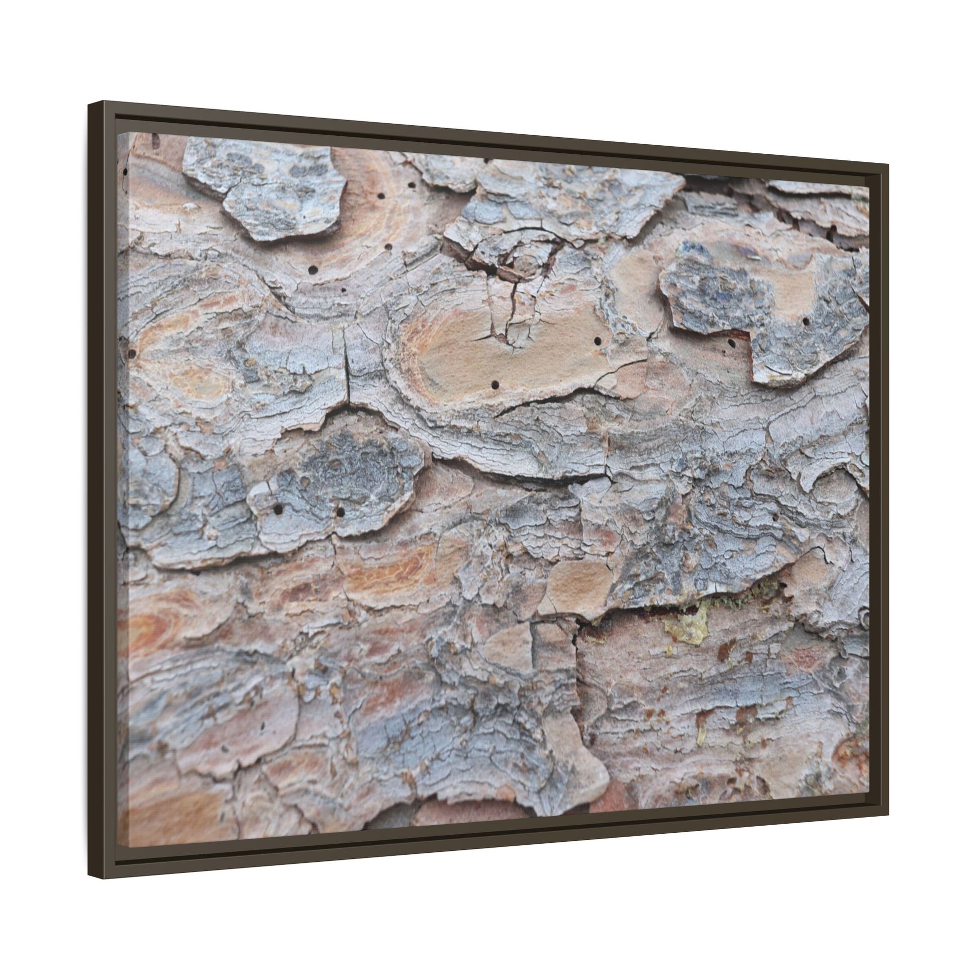 Peeling Memories - Unique Stretched Canvas Wall Art - Art By Earth