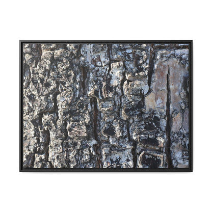 The Bark Chronicles - Unique Stretched Canvas Wall Art - Art By Earth