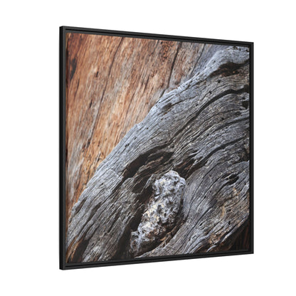 Time's Mark on Timber - Unique Stretched Canvas Wall Art - Art By Earth