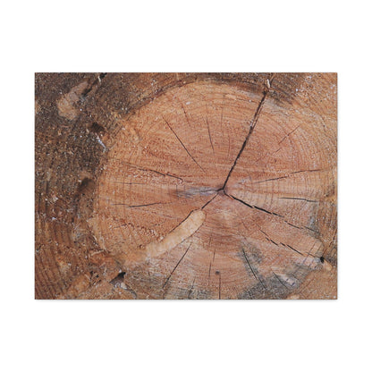 Timber Tale - Unique Frameless Canvas Wall Art - Art By Earth