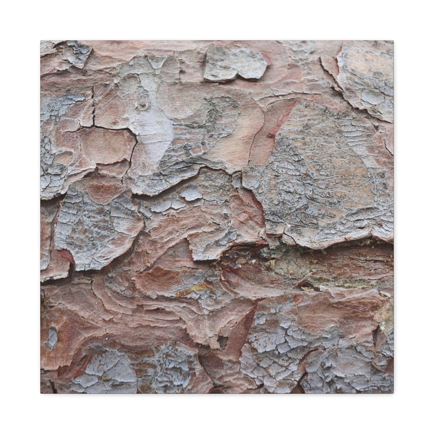 Textural Landscape - Unique Frameless Canvas Wall Art - Art By Earth