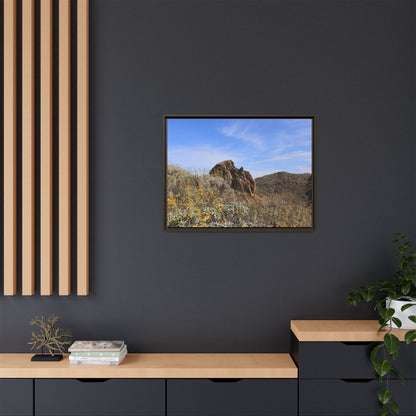 Golden Flowers in Arid Landscape - Unique Stretched Canvas Wall Art - Art By Earth