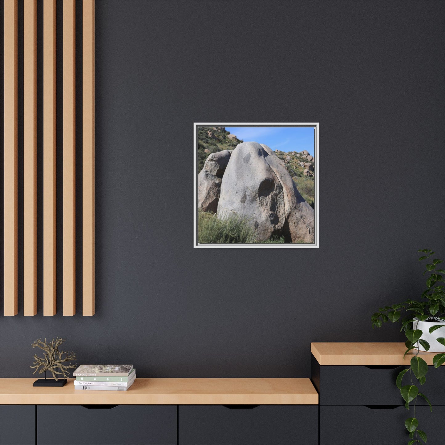 Skull Rock Desert - Unique Stretched Canvas Wall Art - Art By Earth