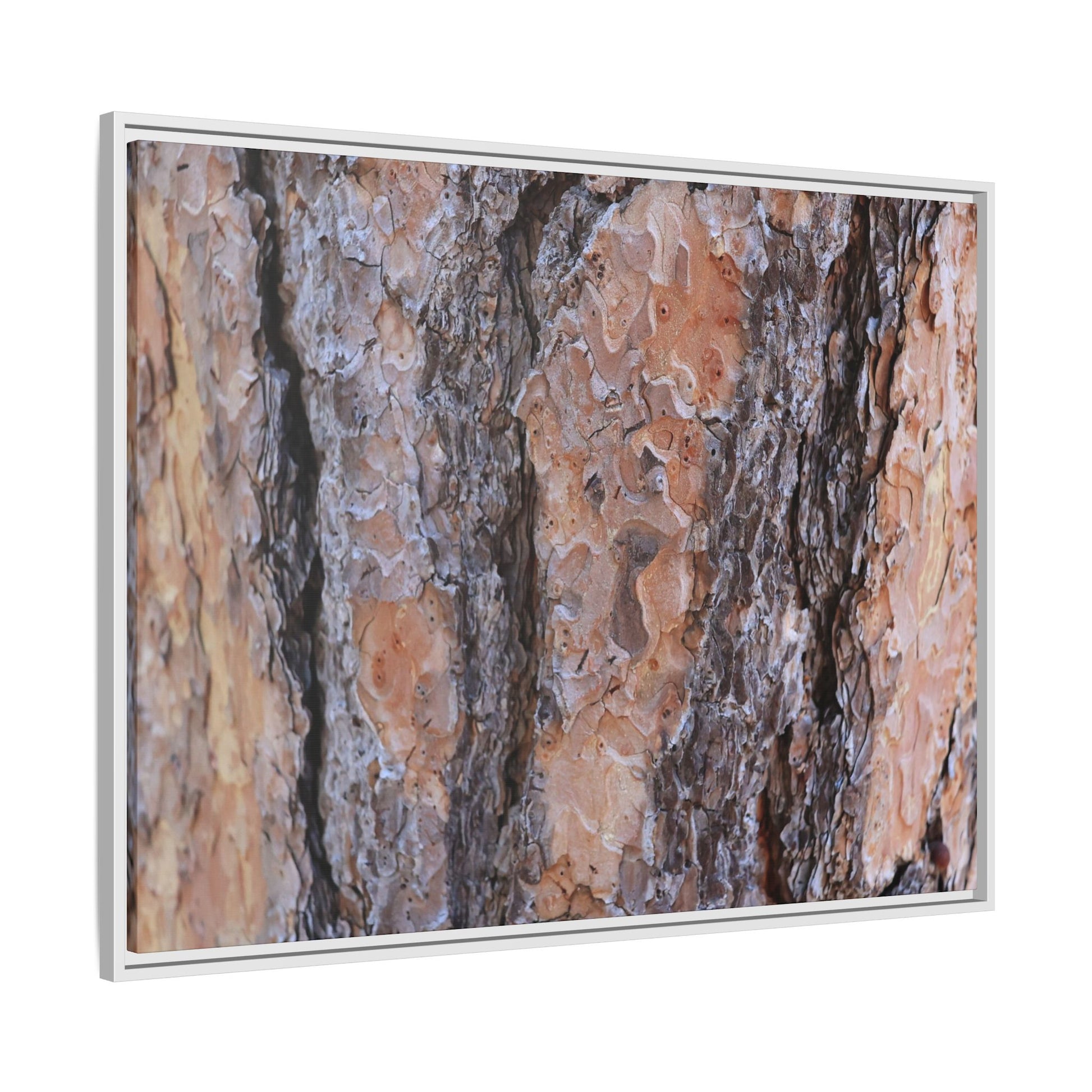 Earthy Embrace - Unique Stretched Canvas Wall Art - Art By Earth