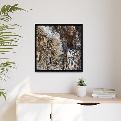 Ancient Tree Texture - Unique Stretched Canvas Wall Art - Art By Earth