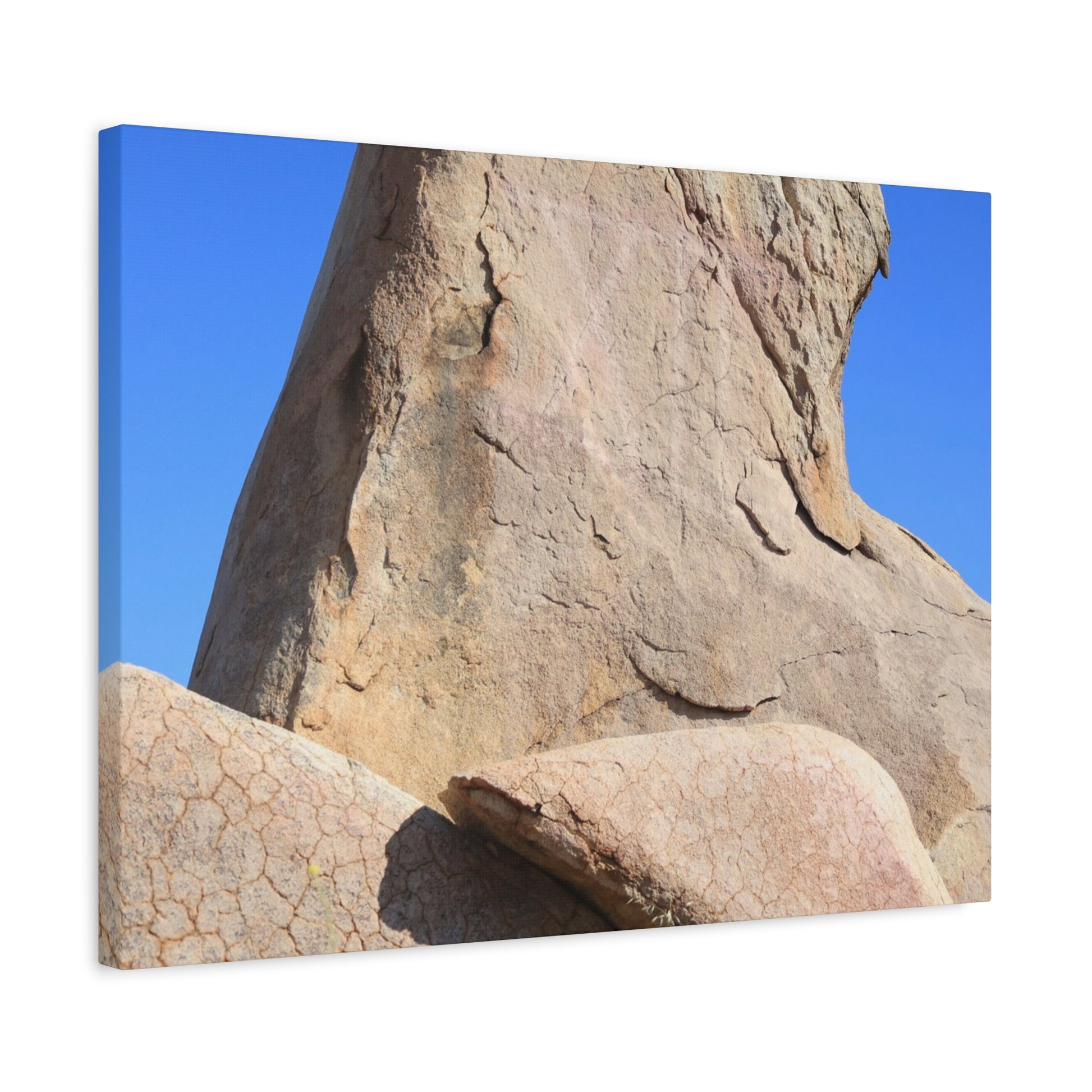 Boulder's Embrace - Unique Frameless Canvas Wall Art - Art By Earth