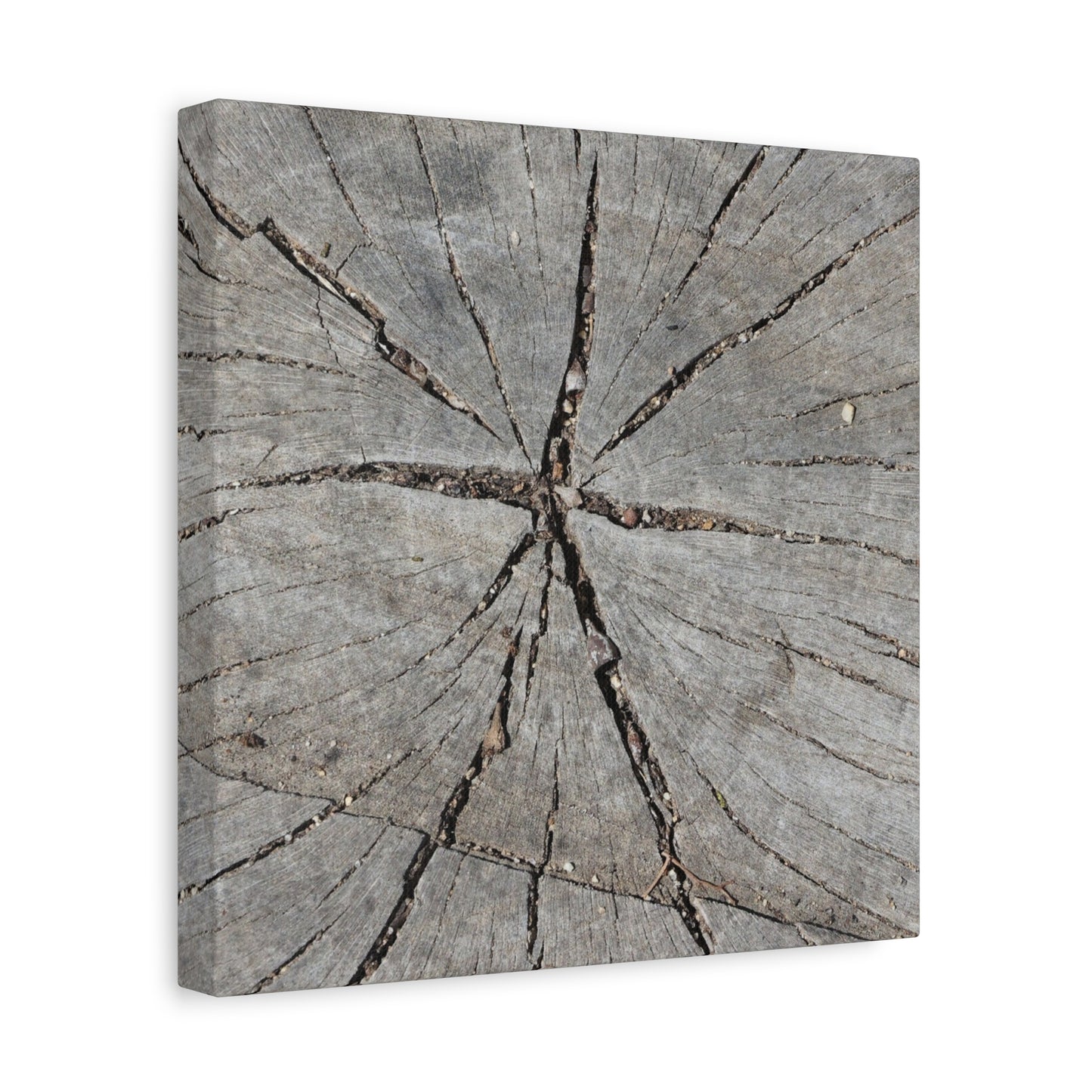 Cracked Chronicle - Unique Frameless Canvas Wall Art - Art By Earth