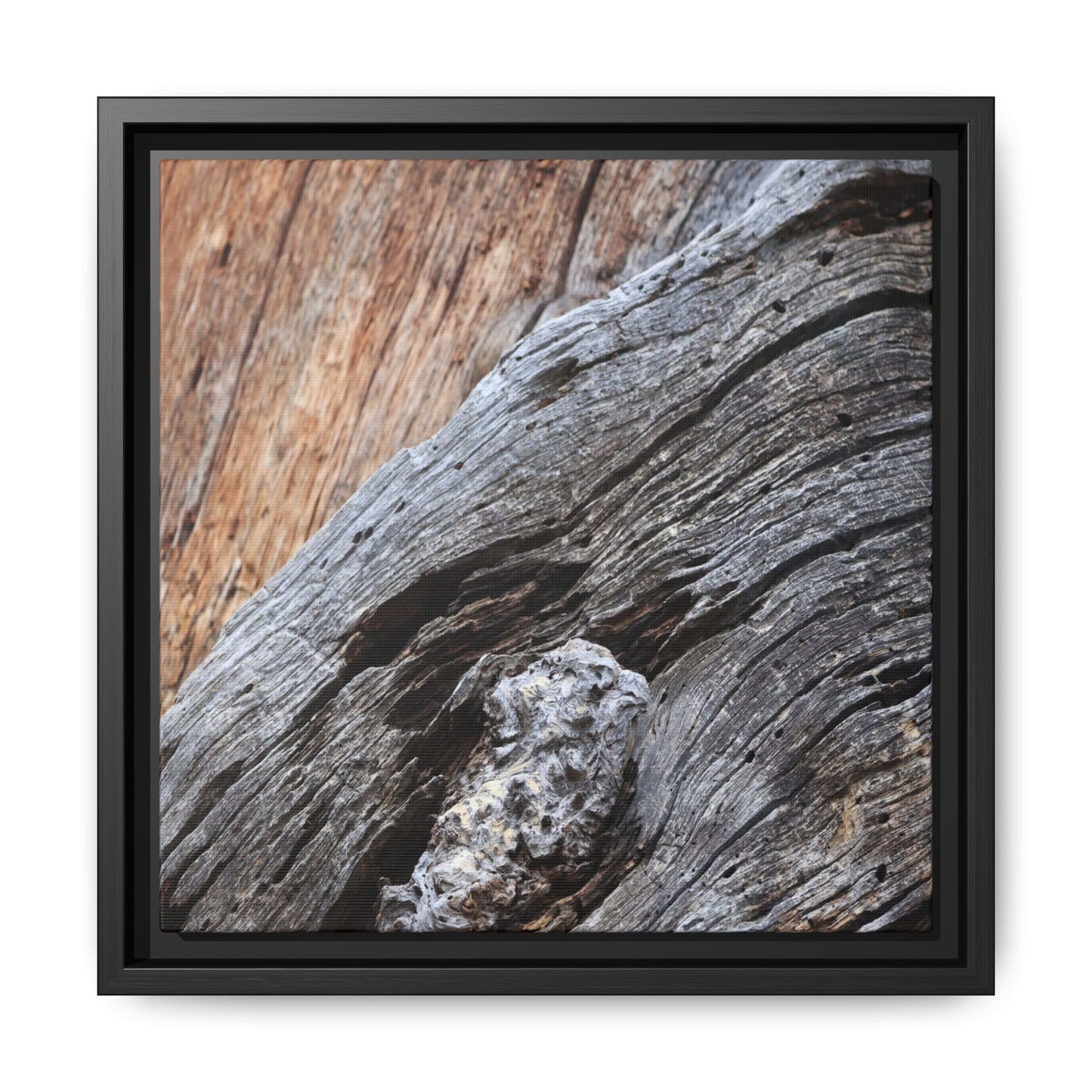 Time's Mark on Timber - Unique Stretched Canvas Wall Art - Art By Earth
