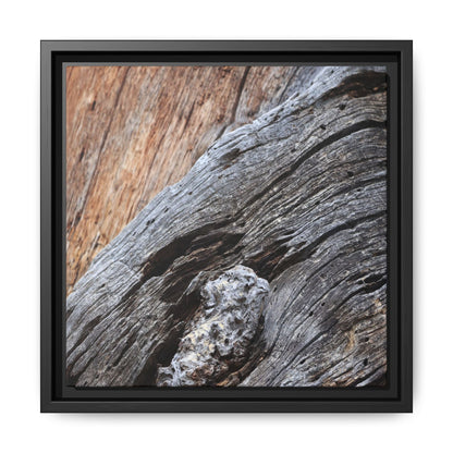 Time's Mark on Timber - Unique Stretched Canvas Wall Art - Art By Earth