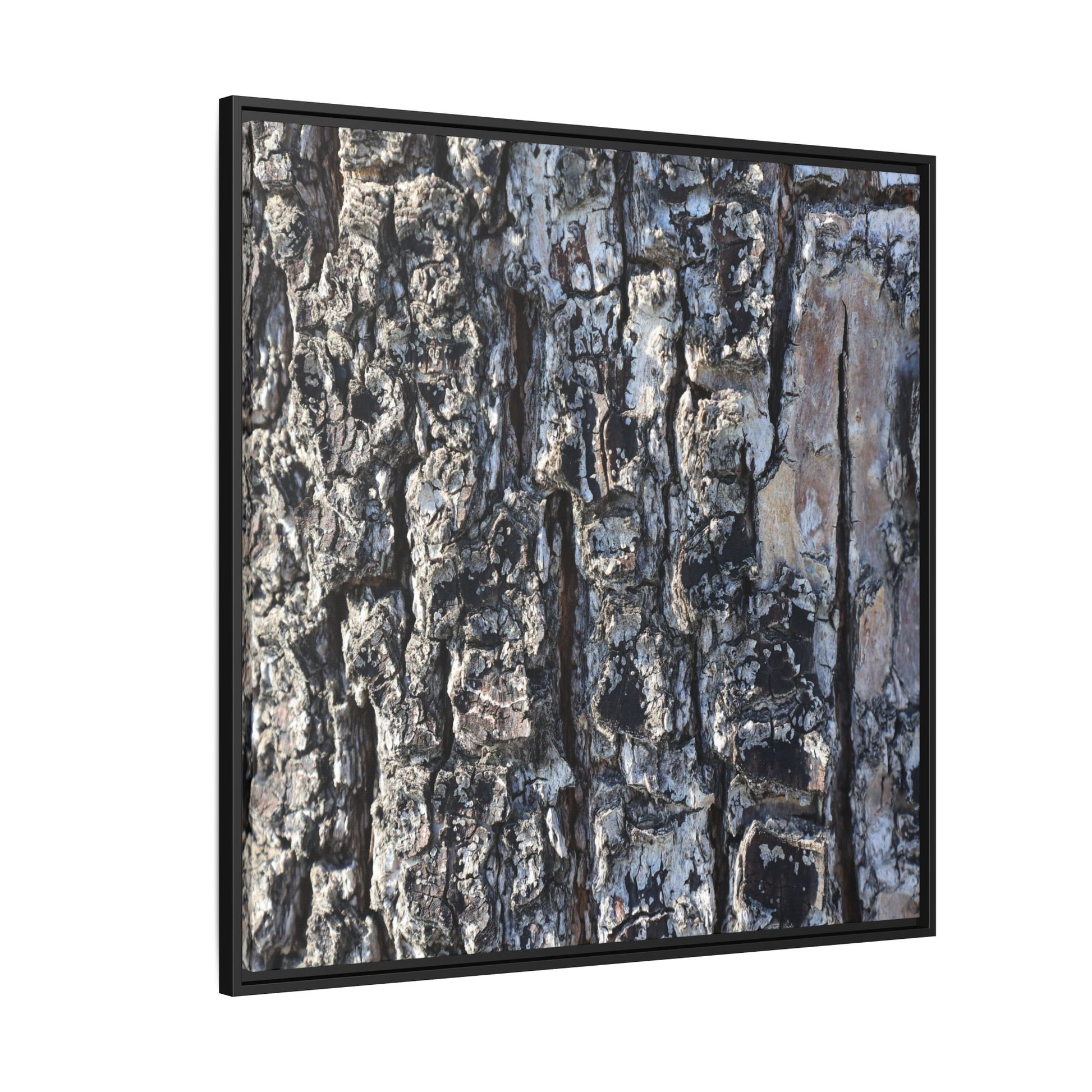 The Bark Chronicles - Unique Stretched Canvas Wall Art - Art By Earth