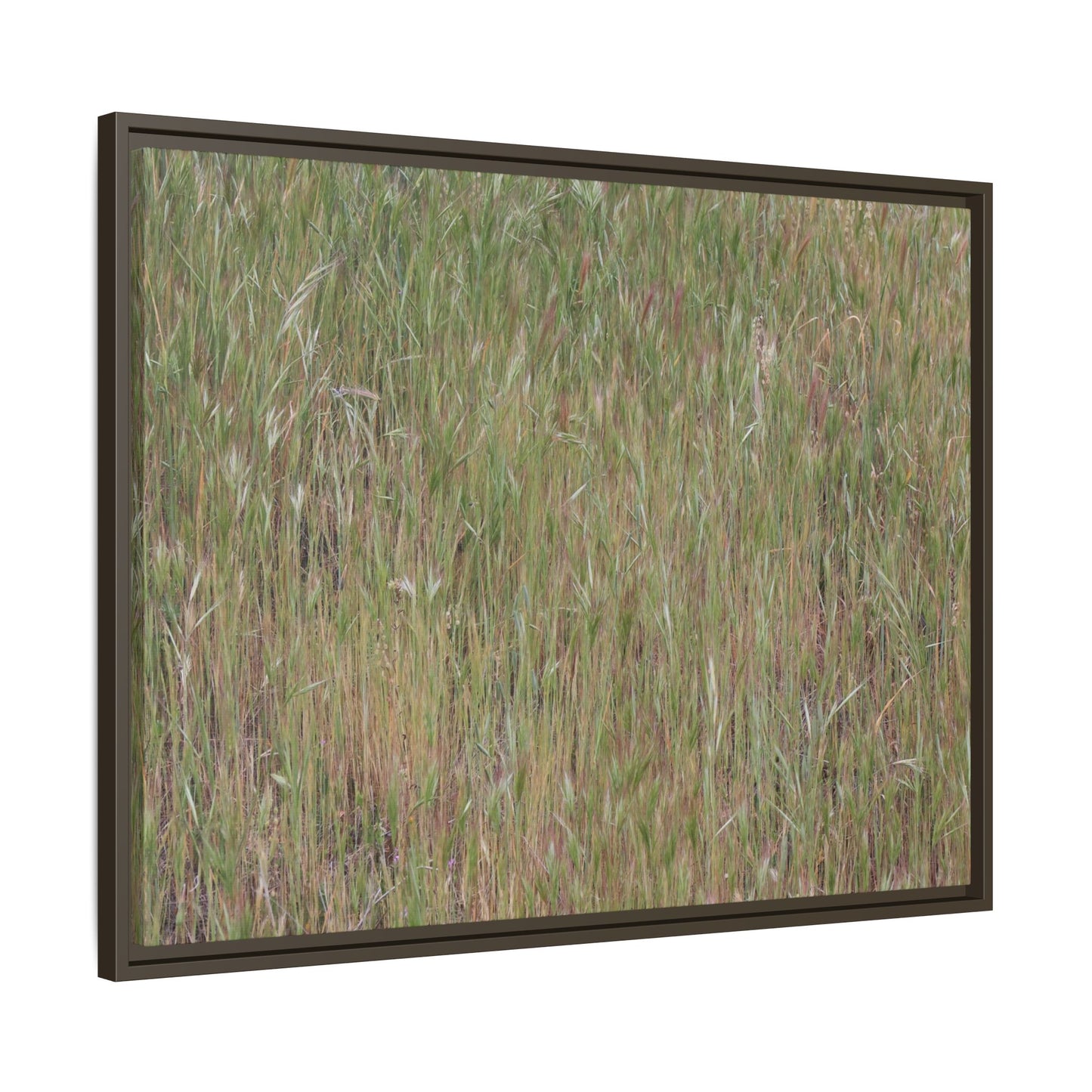 Field of Dreams - Unique Stretched Canvas Wall Art - Art By Earth