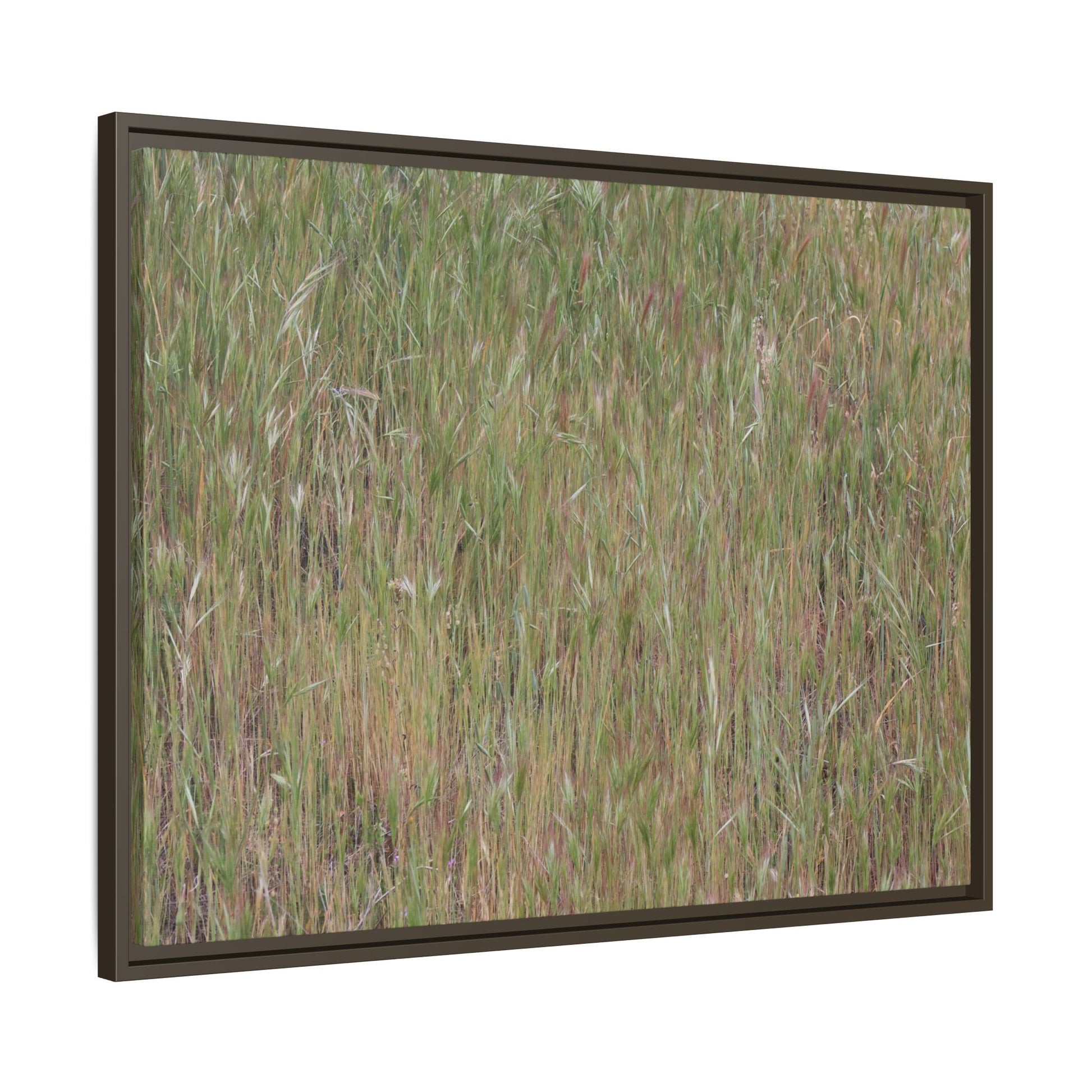 Field of Dreams - Unique Stretched Canvas Wall Art - Art By Earth
