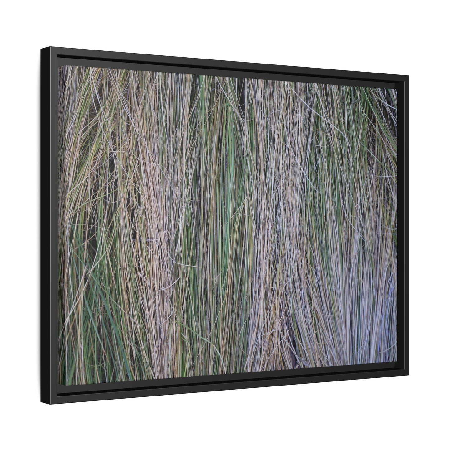 Whispers of Silver Grass - Unique Stretched Canvas Wall Art - Art By Earth
