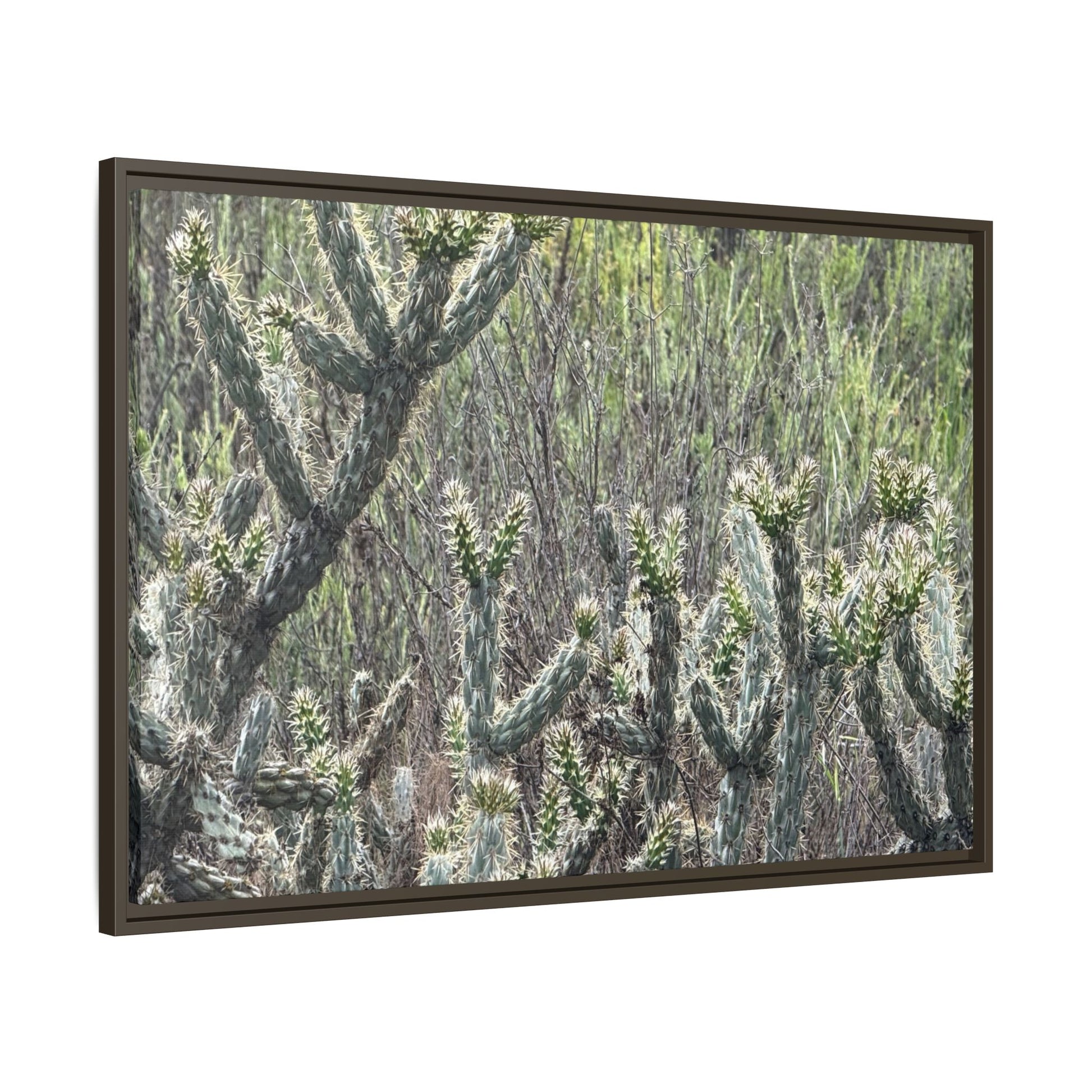 Prickly Paradise - Unique Stretched Canvas Wall Art - Art By Earth