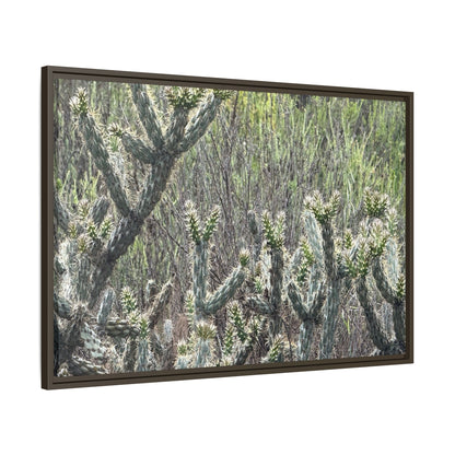 Prickly Paradise - Unique Stretched Canvas Wall Art - Art By Earth