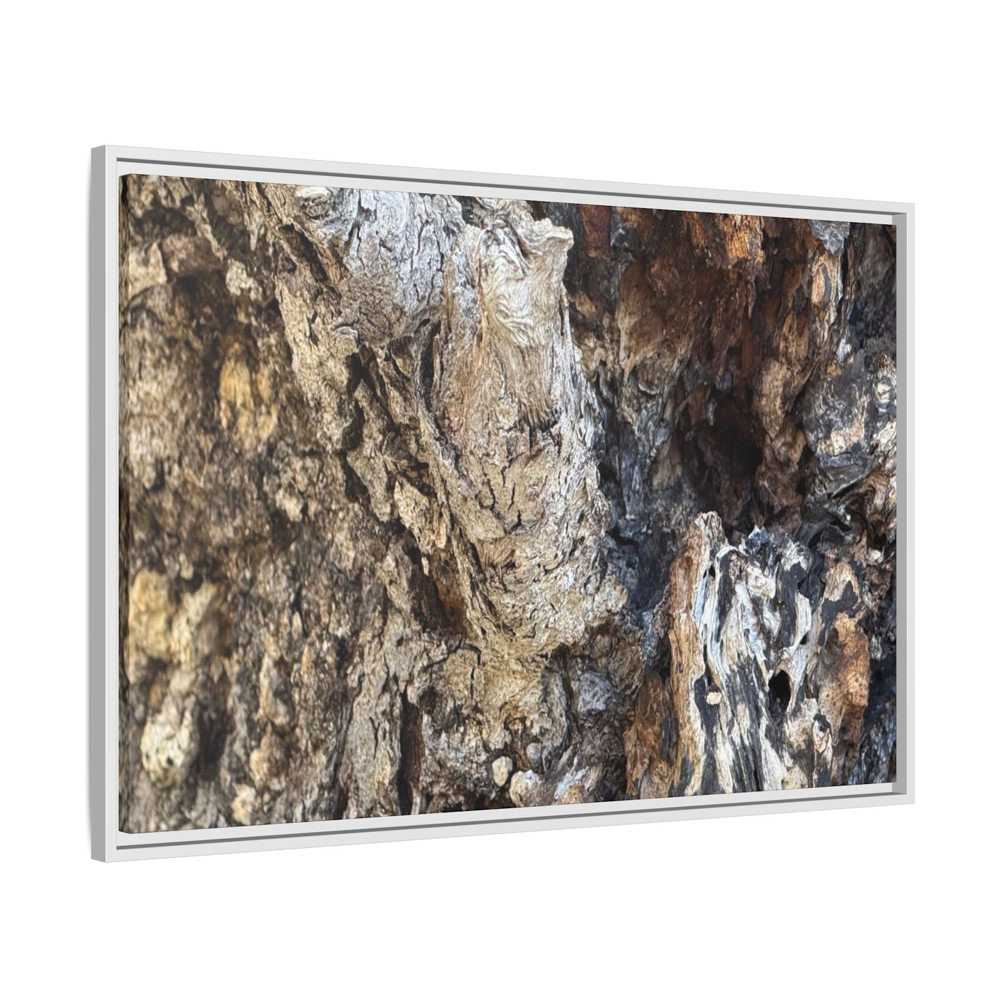 Ancient Tree Texture - Unique Stretched Canvas Wall Art - Art By Earth
