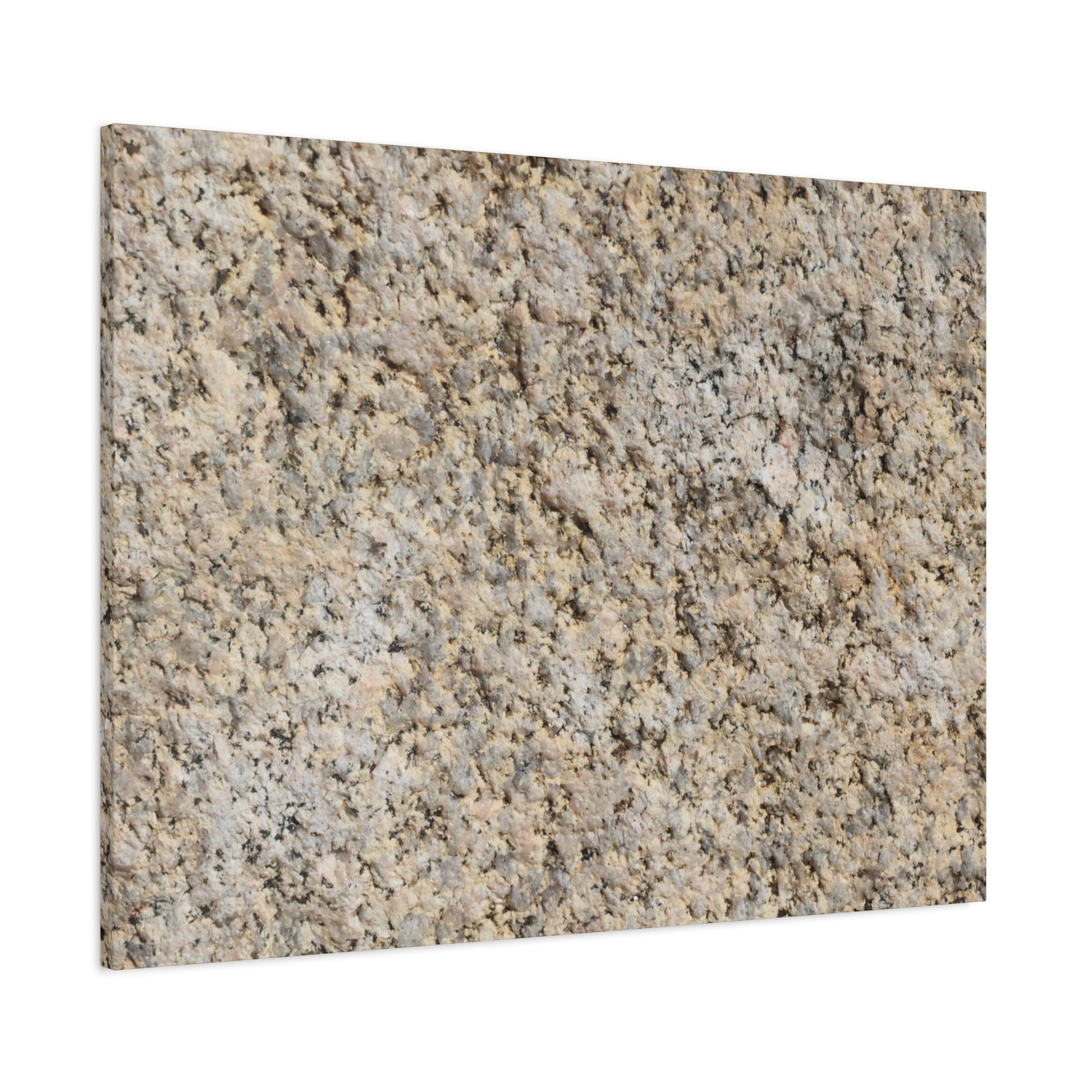 Granular Echoes - Unique Frameless Canvas Wall Art - Art By Earth