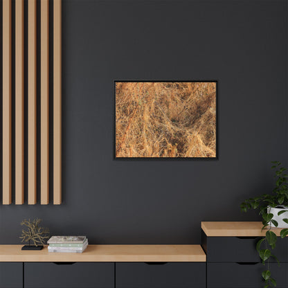 Dried Vegetation Study - Unique Stretched Canvas Wall Art - Art By Earth