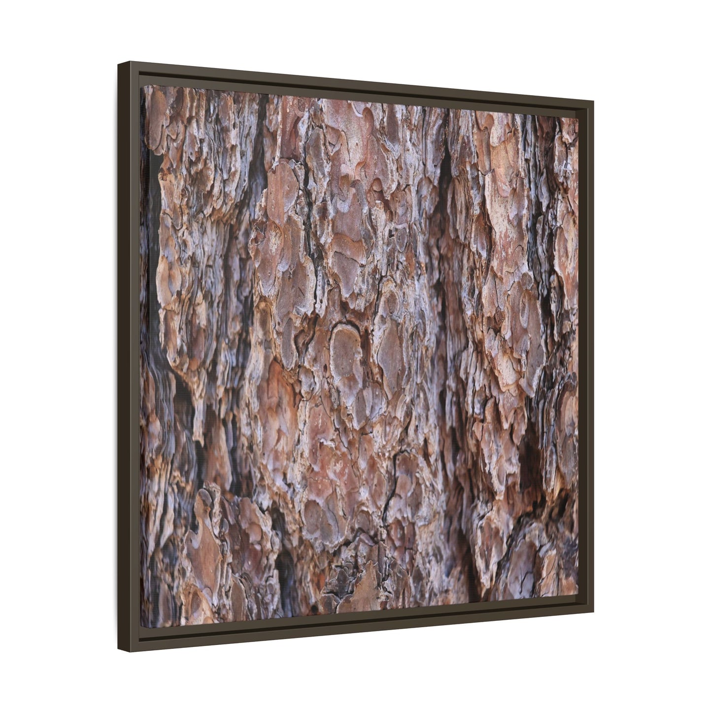 Woody Layers - Unique Stretched Canvas Wall Art - Art By Earth