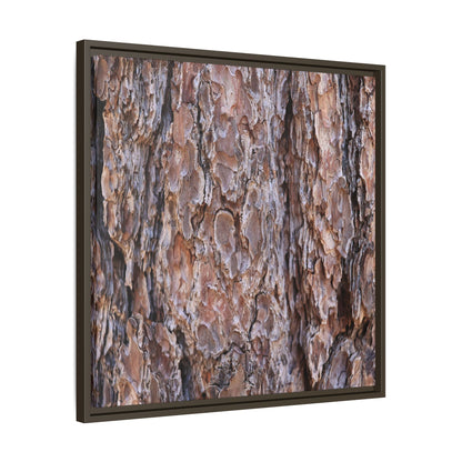 Woody Layers - Unique Stretched Canvas Wall Art - Art By Earth